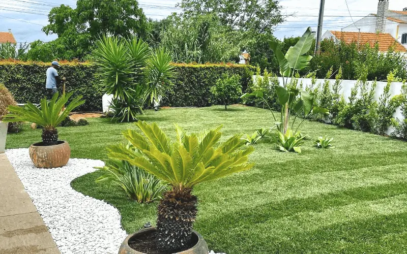 oásis biosistema jardins gardens