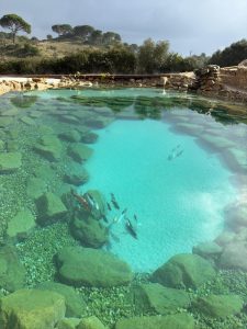 oásis biosistema natural pool