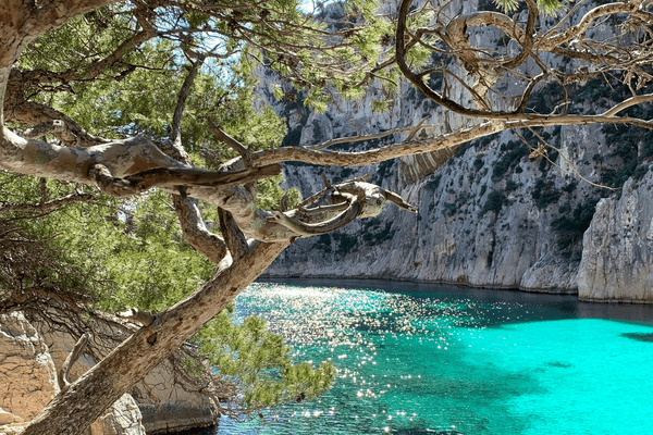 lagoon pools