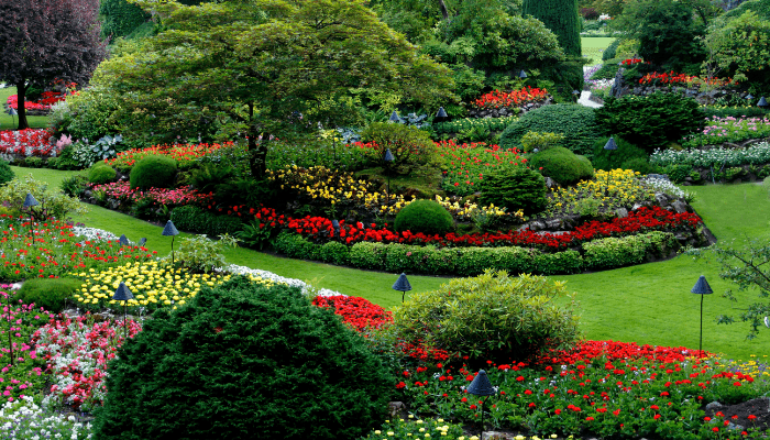landscape design for backyard