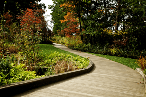 best landscape design company