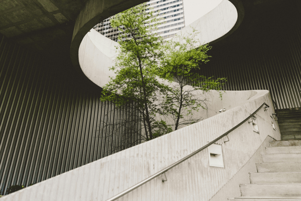 best landscape design company