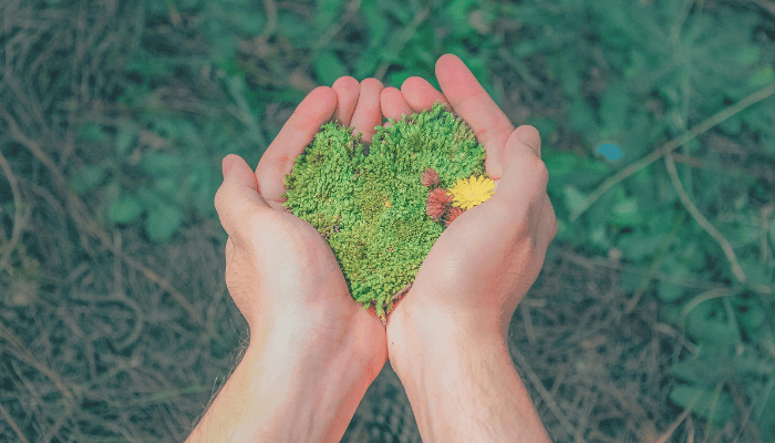 sustainability