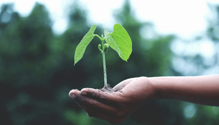 sustainability