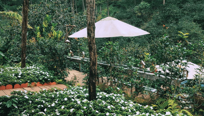 raised gardens