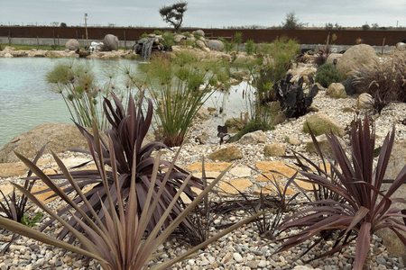 luxury landscaping