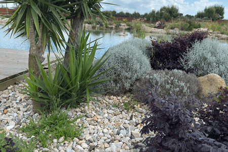 softscaping