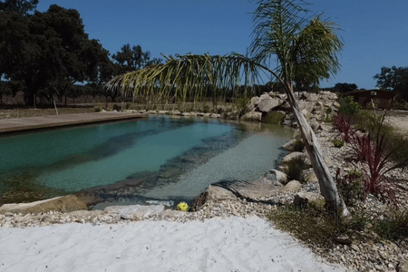 natural pool by oásis biosistema