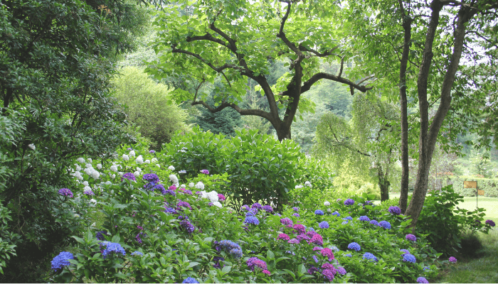 gardening makeover