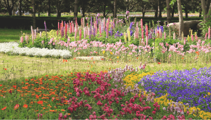 Jardinagem de Flores para Iniciantes