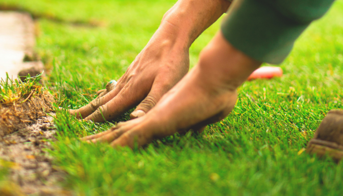 landscape designer