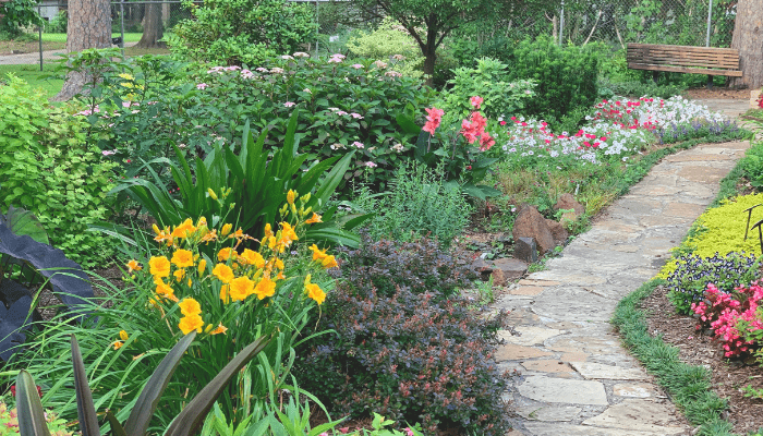 Flower Gardening for Beginners