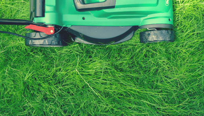 how to make a good lawn