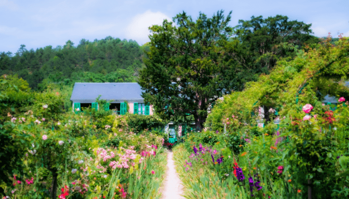 Flower Gardening for Beginners