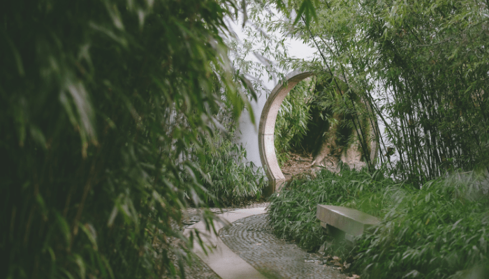 garden design ideas