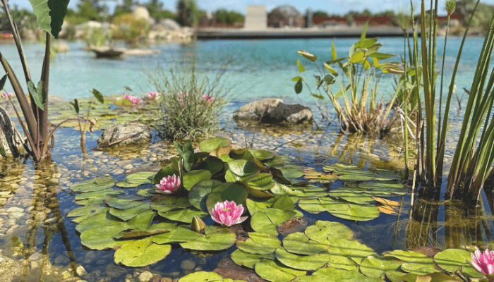 Como Fazer um Lago Ornamental