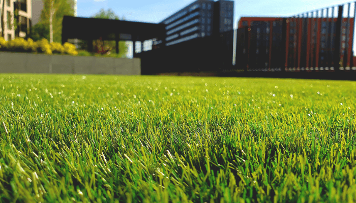 types of lawn